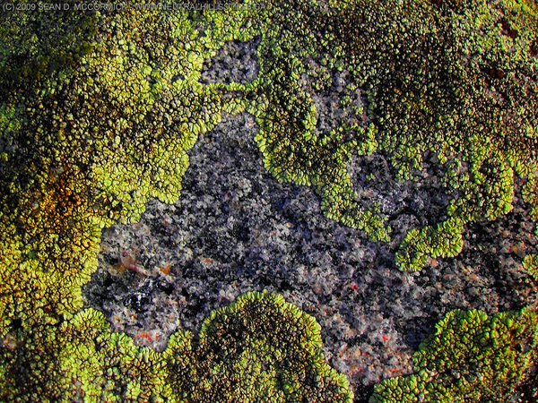 Detail underfoot [2 of 2]