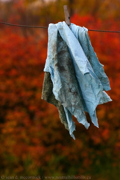 Snot rag: Shoulda used Tied