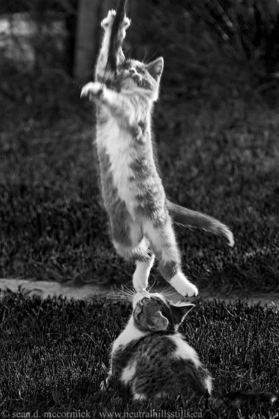 YEEEEAAAAAAAAAAAAAAHH!!!!!