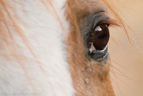 Eyes only