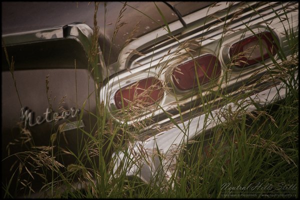 Sunnyridge Farm 2010: Meteor Fragment [3 of 4]