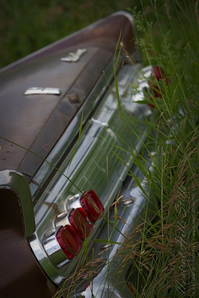 Sunnyridge Farm 2010: Meteor Fragment [1 of 4]