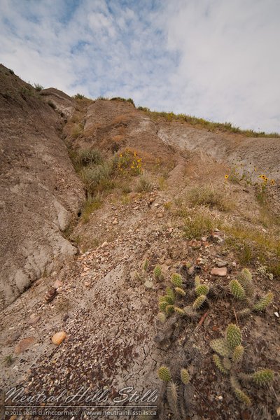 Monitor Mud Buttes, Aug 09, 2010 [2 of 4]
