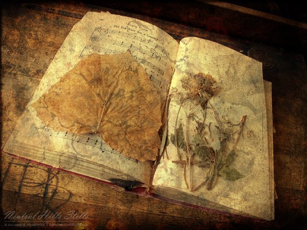 Roland School 2010: 70 year old pressed flowers found in book