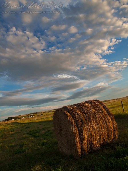 Haying Season 2010: Roadside bale at dusk