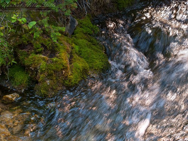 Grassi Lakes Trail: Top of Spray Lakes Falls [1 of 2]