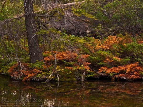 Grassi Lakes: Some Local Colour
