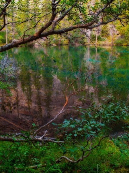 Grassi Lakes Seen Thru Tree Branches