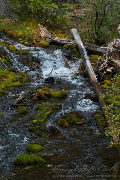 Grassi Lakes Trail: Top of Spray Lakes Falls [2 of 2]