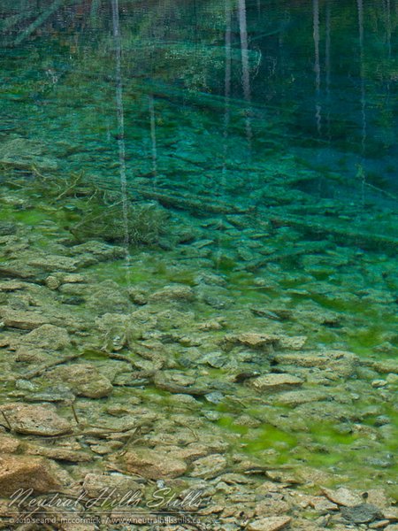 Grassi Lakes: Seeing Bottom Through Reflected Trees Yet Again