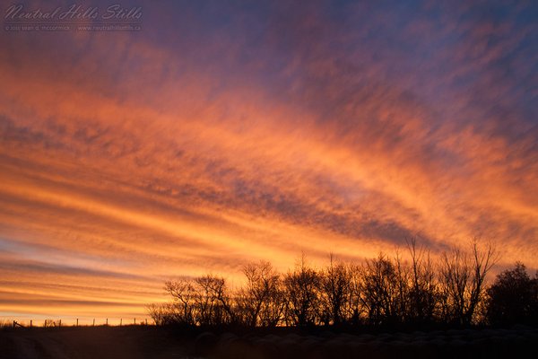 Sunrise, Nov 19, 2010 [1 of 2]