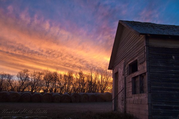 Sunrise, Nov 19, 2010 [2 of 2]