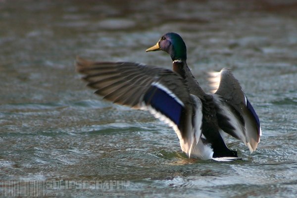 Walking On Water