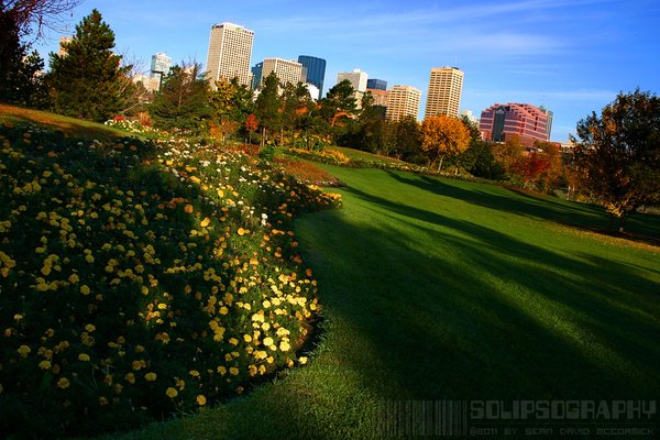 Downtown Edmonton Viewed from Muttart Grounds [1 of 2]