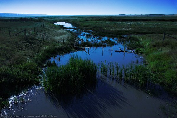 Sounding Creek by Moonlight