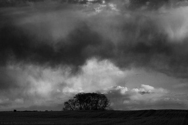 April Showers...