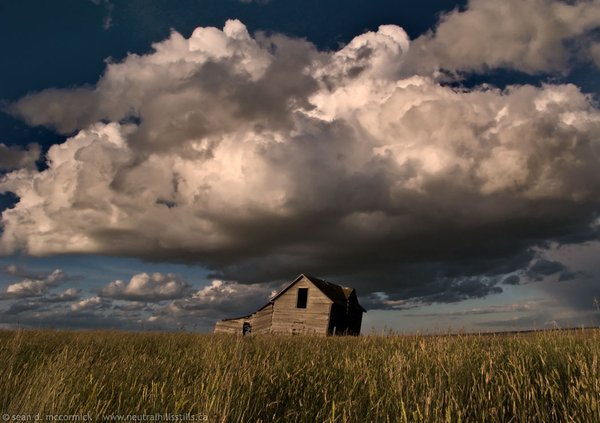 Crunch Time - The Christie Homestead