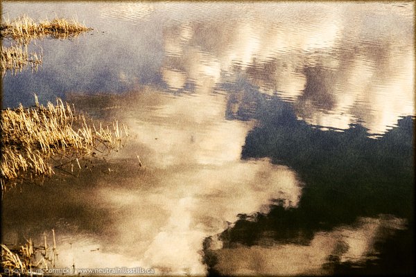 Stubble in the Clouds