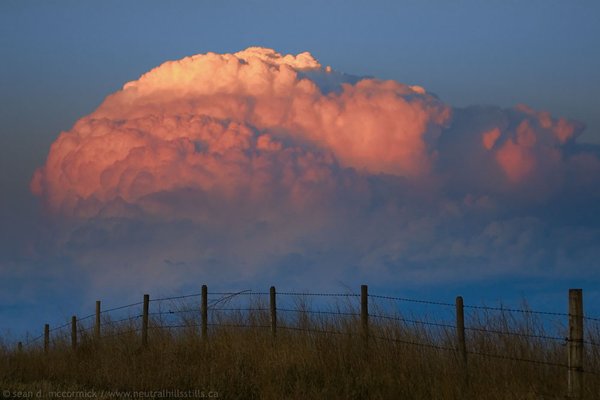 Cloud & Fence Line at Dusk