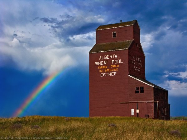 Esther Elevator & Rainbow