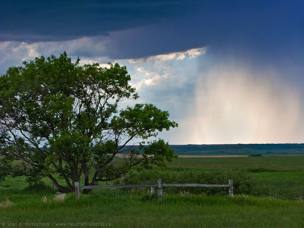 Bright Spot on the Horizon