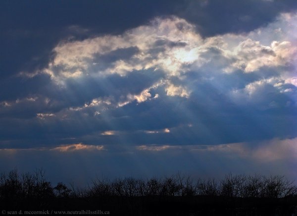 Sunbeams, Apr 29, 2008