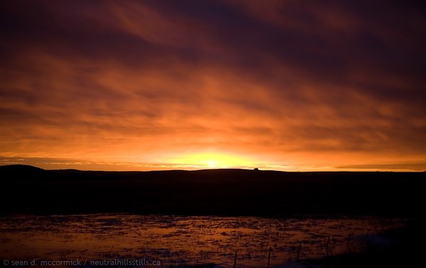 Fire & Ice - Ice: Sunset Reflected In Wind Polished Ice of Slough East of Consort on Hwy 12