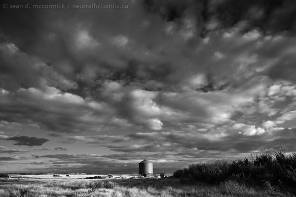 Lonely 'Ol Grain Bin