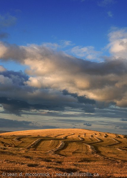 Swaths & Clouds [2 of 2]