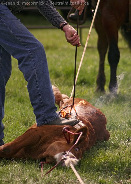 Searing Keeps The Flavour In