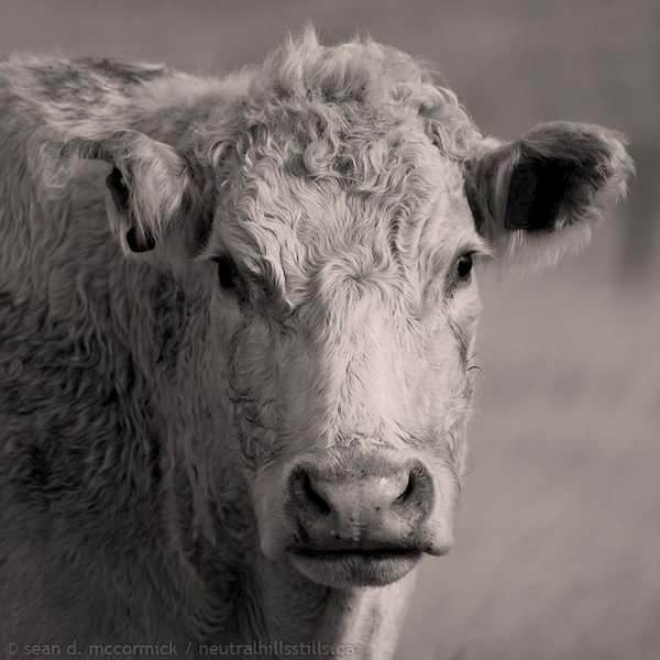 Watching Me Watching You