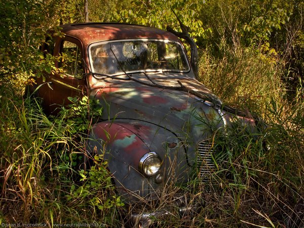 1951 Austin in the Weeds
