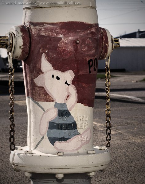 Haram hydrant: The jihad obviously hasn't reached Oyen yet