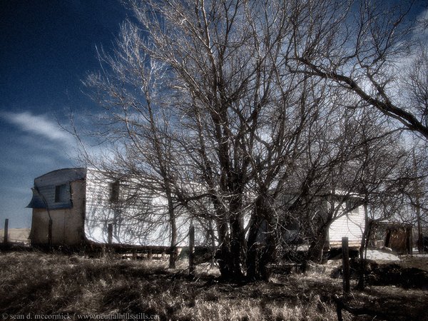 Laurie's Old Digs, Monitor, Alberta