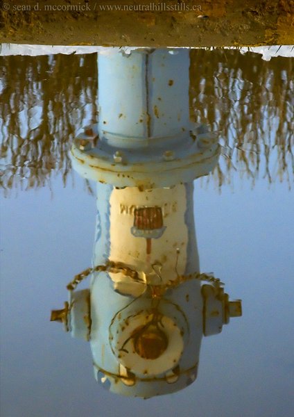 Hydrant reflected in melt water, Oyen, Alberta