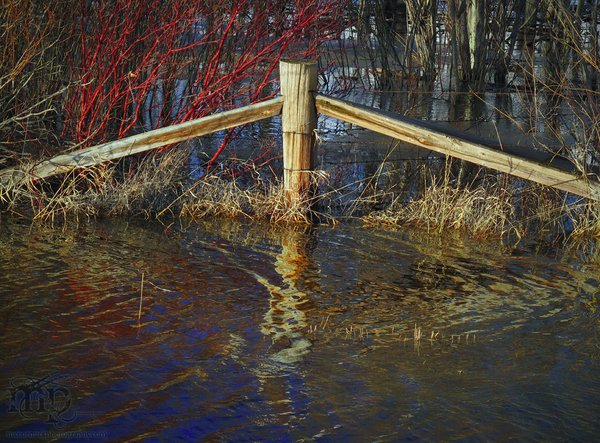 Fence, water, and wind.