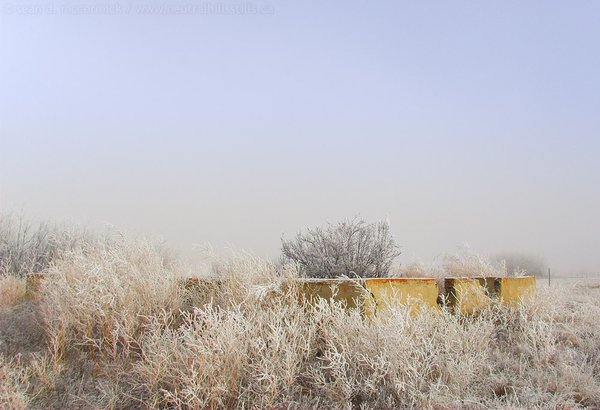 Cayno School [3 of 4]
