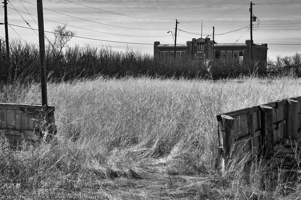 Overgrown hockey rink with Hoosier School in background