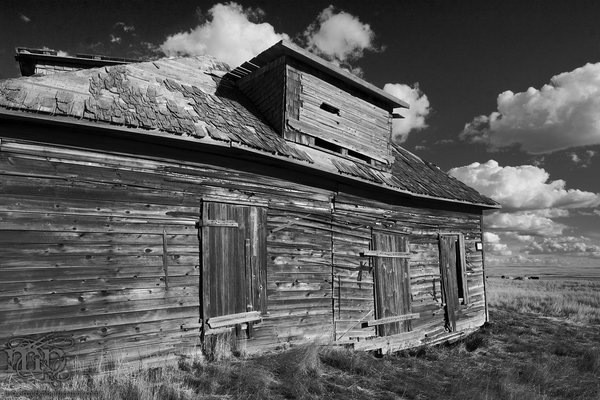 Gray Homestead: Cultured? No. Textured? Yes.