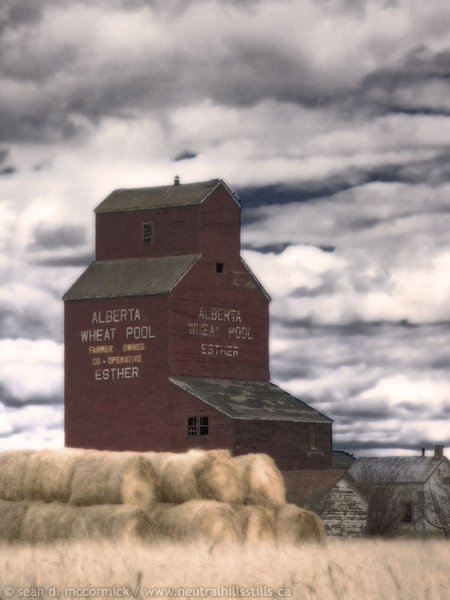 Esther Elevator with Bales