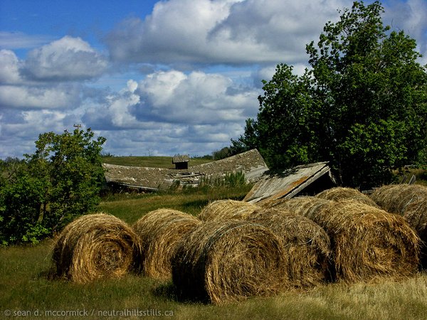 Collapsed Barn, Beck Homstead [1 of 2]