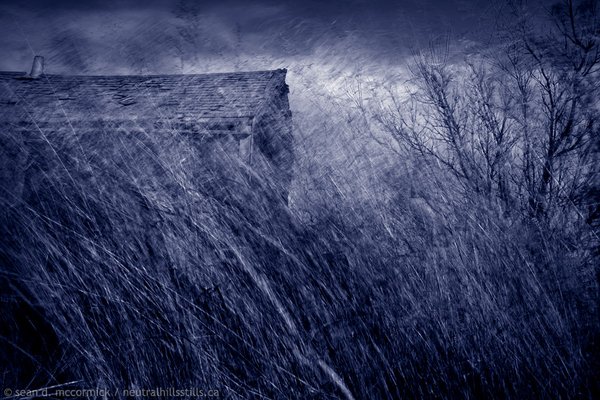 Reid Shack Seen Thur Windswept Grass [1 of 2]