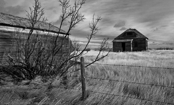 Original Jorgenson Homestead & Shed