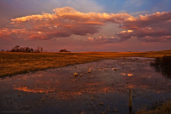 Sunset, Apr 26, 2011: Rear View