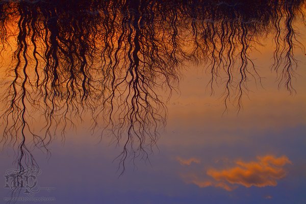 Sunset, Apr 26, 2011: The Wave