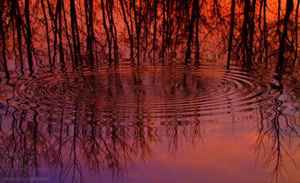 Sunset, Apr 26, 2011: Ripple Effect