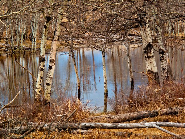 Signs of life