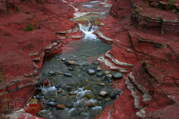 Red Rock Canyon: A river runs through it [3 of 5]