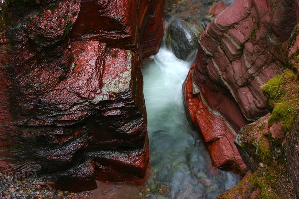 Red Rock Canyon: A river runs through it [2 of 5]