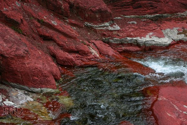 Red Rock Canyon: A river runs through it [1 of 5]